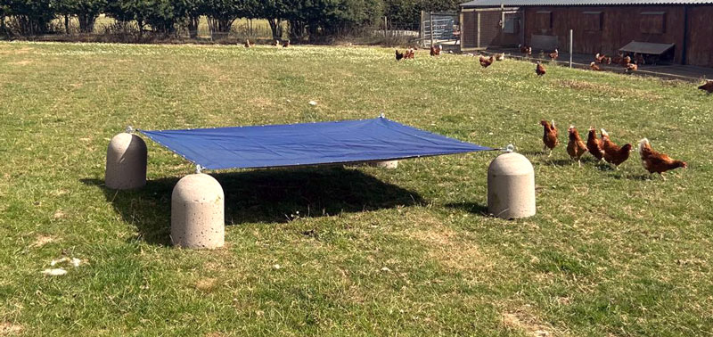 Poultry Shelter